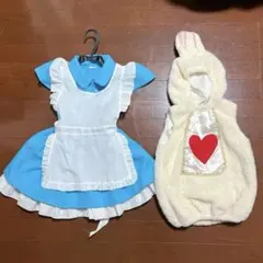 不思議の国のアリスとウサギの着ぐるみセット♡