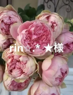 バラ苗 イブ購入前にコメント - メルカリ