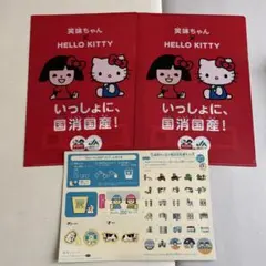ハローキティ クリアファイル 2枚セット