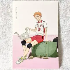 【ハイキュー】夜久衛輔╱ポストカード