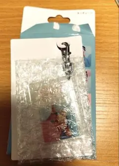 ディズニー イマジニングザマジック キーチェーン プルート