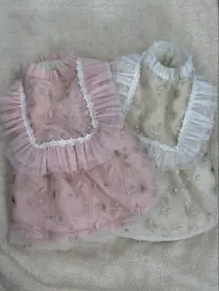 Item thumbnail for item 66274099-e1b3-4879-aa16-981a32d30476