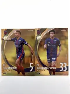 Item thumbnail for item 1f07918a-029f-408b-b4ee-57786a998c87