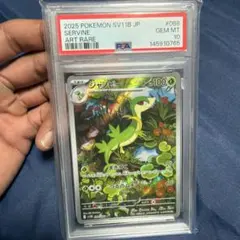 PSA10 ジャノビー AR ポケモンカード - メルカリ