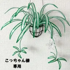 こっちゃん様専用ページ