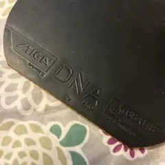 Item thumbnail for item 67382727-6f4f-4136-8803-c11302c92b42