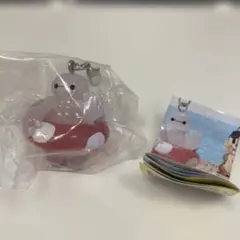 ディズニー　めじるしアクセサリー SUMMER ベイマックス