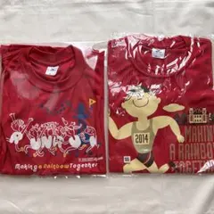 【未使用】大阪マラソン なないろチャリティTシャツ ミズノ 2013 2014のサムネイル