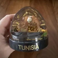 TUNISIA ラクダ スノードーム 置物♪のサムネイル