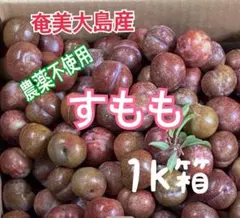 鹿児島産すもも硬め1.1キロ - メルカリ