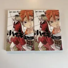 ハイキュー!! ゴミ捨て場の決戦 劇場版 映画 入場者特典 33.5巻 2冊