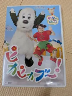 いないいないばあっ！ ピカピカブ～！ DVD