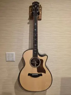美品　Taylor 2026年製 Builder's Edition 814ce