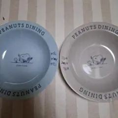 PEANUTS DINING スヌーピー プレート 2枚セット　カレー　パスタ