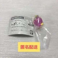 ぷるるんっ！しずくちゃん めじるしアクセサリー2 ロゼちゃん