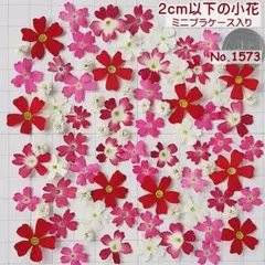 nakaba様 リクエスト 2点 まとめ商品