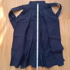 Item thumbnail for item 18820d3e-7869-4521-b519-aee52edf131b