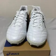 asics DS LIGHT CLUB TF WIDE 27.0cm