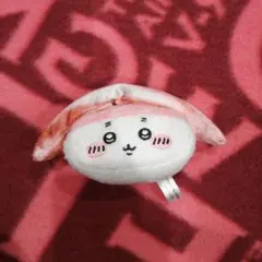 ミドリムシ様 リクエスト 2点 まとめ商品