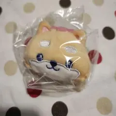 2025年最新】まめちぃ ぬいぐるみの人気アイテム - メルカリ