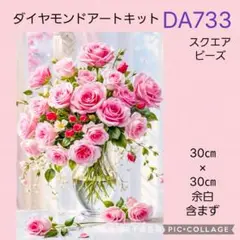 DA733★ダイヤモンドアートキット★スクエアビーズ