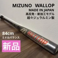 Item thumbnail for item 6961c6df-2fc4-4123-a0b7-5f76a31eb598