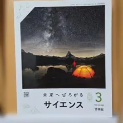 ぴーちゃん様 リクエスト 2点 まとめ商品