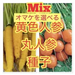 you様 リクエスト 3点 まとめ商品