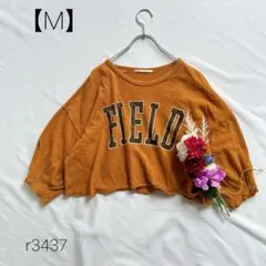 Item thumbnail for item 5b2bc177-8e23-4d4a-9e73-08130c0d8af4