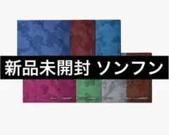 新品未開封　THE SIN : VANISH 7形態 ソンフンver