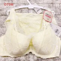 トリンプ　天使のブラスリムラインブラレットデザイン　ブラショーツセット　D75M