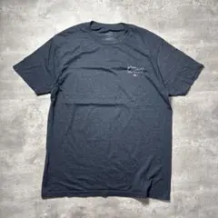 オニール　Tシャツ プリント　グレー　アメリカ古着　L 5288のサムネイル