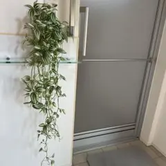 フランフラン　ポトス人口観葉　花器セットのサムネイル