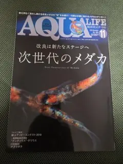 Item thumbnail for item 155e2a69-4b4c-434d-8680-ba2ce1c84c60