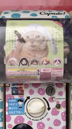 ねこのかぶりもの たれみみうさぎ プラウン