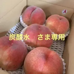 山梨一宮の木のてっぺんから収穫した超特大　幸茜　　さくら白桃を5個詰めて発送