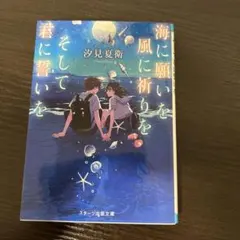 海に願いを 風に祈りを そして君に誓いを
