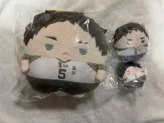 ハイキュー くじメイト ぬいくじ 赤葦京治