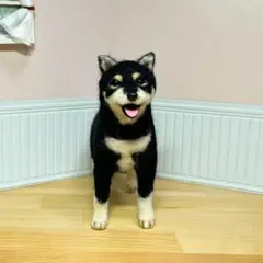 にっこり ☆ 黒柴ちゃん