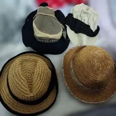 Item thumbnail for item 57f304cb-896e-4bf1-8b04-e348a9b6ab2d