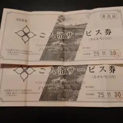 SKYspa 横浜 入浴回数券 6回分 SKYspa YOKOHAMA（スカイスパYOKOHAMA）入浴回数券 | レジャー券