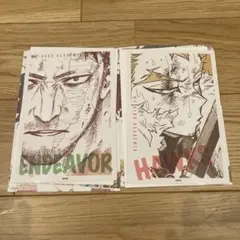 ヒロアカ　原画展　ワンシーンカードコレクション　ホークス　エンデヴァー