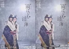 舞台 ツバメの幸福 DVD パンフレット 水崎綾 星璃 - メルカリ