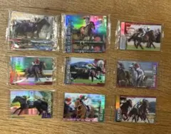 サラブレッドホースコレクション カード　11枚セット