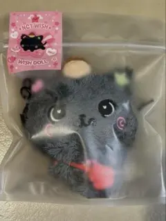 nctwish wishdoll リク クリ steady MD