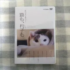 2025年最新】ネコメンタリー 猫も、杓子も。 [DVD]の人気