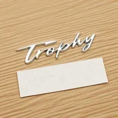 Item thumbnail for item 4dc99421-6da6-4aed-85b4-93bca3138a05