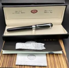 AURORA 万年筆 14K 116/919 限定品 AURORA 万年筆 14K 116/919 限定品 - メルカリ