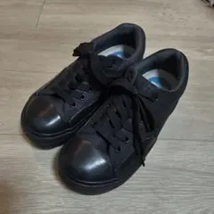 コンバース ボーダースター stacksbookstore