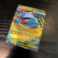 メガフシギバナEX 380 HP ポケモンカード